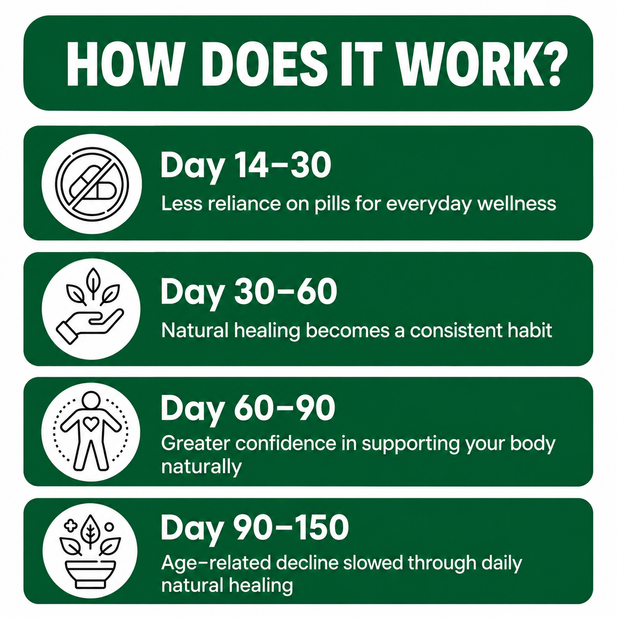 The Natural Healing Handbook