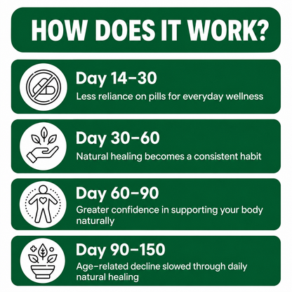 The Natural Healing Handbook