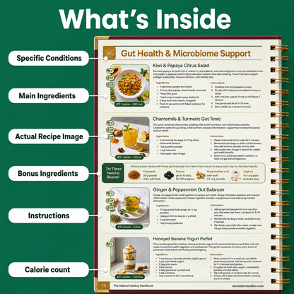The Natural Healing Handbook